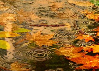 Settimana autunnale. Pioggia intensa domani, aria fresca da giovedì