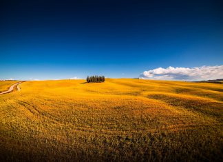 Estate piena: sole e caldo nei prossimi giorni.